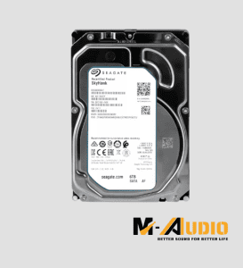 Ổ cứng SEAGATE SkyHawk 6TB-ST6000VX001