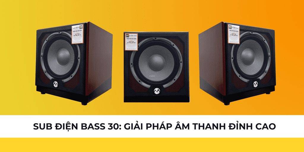 Sub Điện Bass 30