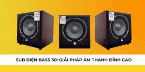 Sub Điện Bass 30