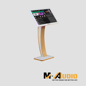 Màn hình ViệtKTV Led RGB