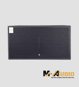 Loa Subwoofer TPA M218S